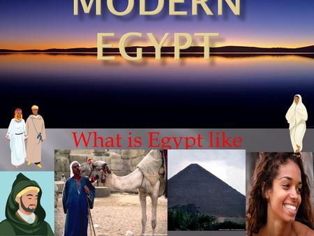 What is Egypt like today?  1. Oasis – A fertile water area in a desert.  2. Aswan Dam-A man made barrier in the Nile river that holds back water.