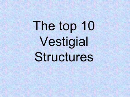 The top 10 Vestigial Structures