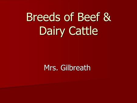 Breeds of Beef & Dairy Cattle Mrs. Gilbreath. Today you will be able to… Identify characteristics of Major Beef Cattle Breeds, Dual-Purpose and Dairy.
