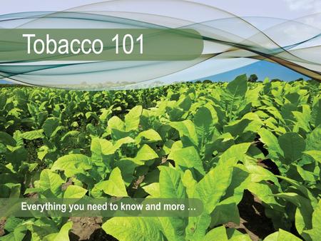 The Cost of Tobacco Use Module 12 Tobacco 101: Module 123 The Cost of Tobacco Use Smoking often leaves a bad smell in clothes, cars or homes. What is.