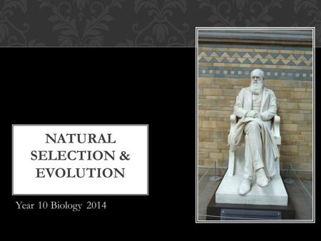 Year 10 Biology 2014 NATURAL SELECTION & EVOLUTION.