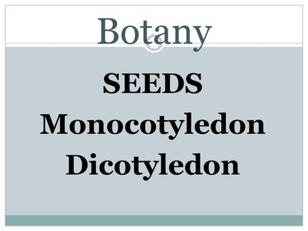 SEEDS Monocotyledon Dicotyledon
