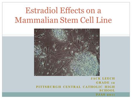 JACK LEECH GRADE 12 PITTSBURGH CENTRAL CATHOLIC HIGH SCHOOL PJAS 2011 Estradiol Effects on a Mammalian Stem Cell Line.