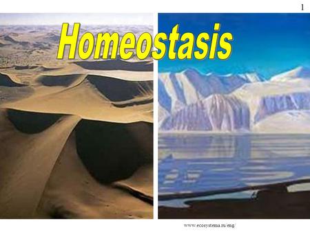 Www.ecosystema.ru/eng/ 1. The term ‘homeostasis’ is derived from two Greek words; Homeo which means ‘unchanging’ and Stasis which means ‘standing’ In.