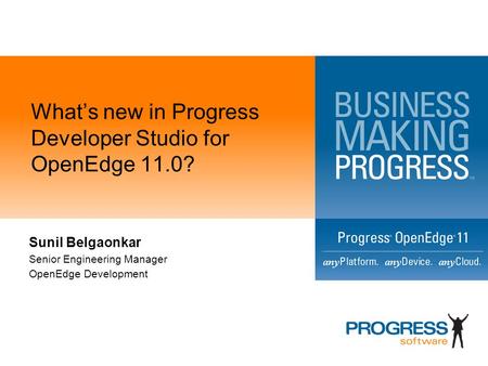 What’s new in Progress Developer Studio for OpenEdge 11.0?