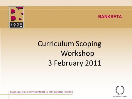 Curriculum Scoping Workshop 3 February 2011 ENABLING SKILLS DEVELOPMENT IN THE BANKING SECTOR BANKSETA.