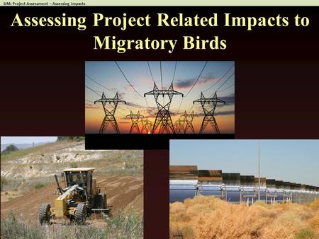 Assessing Project Related Impacts to Migratory Birds.