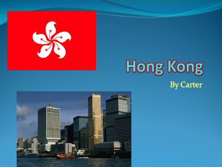 Population : 7097 million 6217 people per square kilometer Population growth rate 0.9% The official Languages in Hong Kong are English and Cantonese.