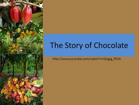 The Story of Chocolate http://www.youtube.com/watch?v=lZygrg_PF2A.
