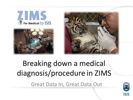 Breaking down a medical diagnosis/procedure in ZIMS Great Data In, Great Data Out.