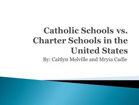 By: Caitlyn Melville and Mryia Cadle.  Here in the United States, there are several different schools that students can attend  In this PowerPoint,