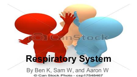 Respiratory System By Ben K, Sam W, and Aaron W.