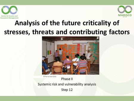 Analysis of the future criticality of stresses, threats and contributing factors Phase II Systemic risk and vulnerability analysis Step 12 © Pierre Ibisch.