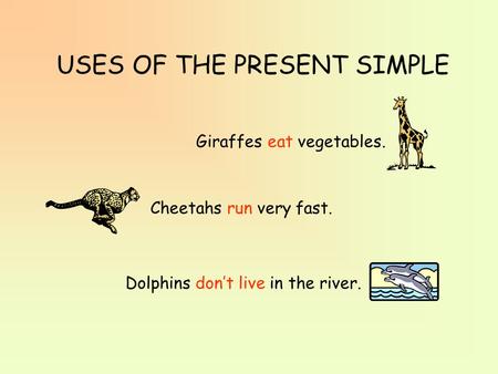 USES OF THE PRESENT SIMPLE Giraffes eat vegetables. Cheetahs run very fast. Dolphins don’t live in the river.