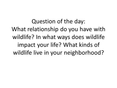 Question of the day: What relationship do you have with wildlife? In what ways does wildlife impact your life? What kinds of wildlife live in your neighborhood?