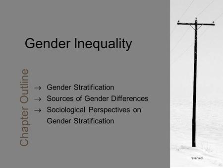 Reserved. Gender Inequality Chapter Outline  Gender Stratification  Sources of Gender Differences  Sociological Perspectives on Gender Stratification.
