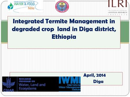 April, 2014 Diga Integrated Termite Management in degraded crop land in Diga district, Ethiopia.
