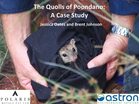 Jessica Oates and Brent Johnson The Quolls of Poondano: A Case Study.