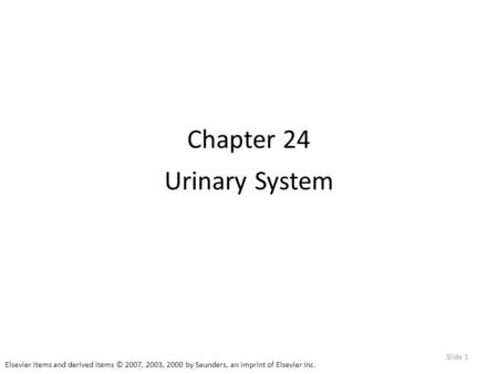 Elsevier items and derived items © 2007, 2003, 2000 by Saunders, an imprint of Elsevier Inc. Slide 1 Chapter 24 Urinary System.
