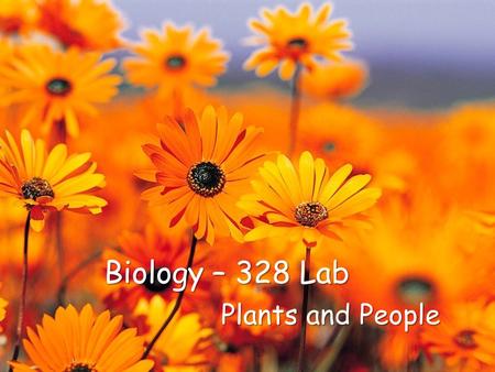 Biology – 328 Lab Plants and People.