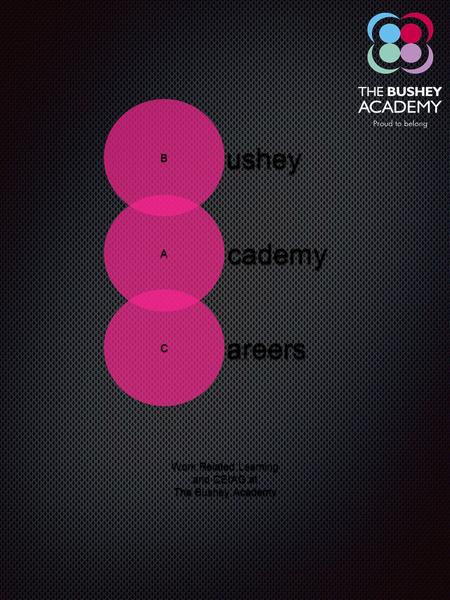 B A C ushey cademy areers Work Related Learning and CEIAG at The Bushey Academy.