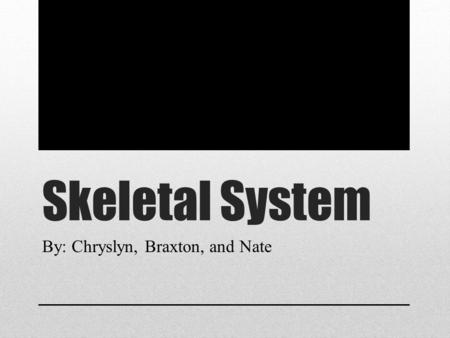 Skeletal System By: Chryslyn, Braxton, and Nate. What is the Skeletal System The skeletal system protects and supports an organism’s body, while also.