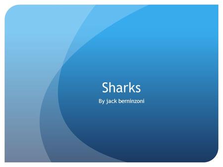 Sharks By jack berninzoni.