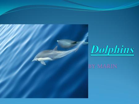 By marin. What does it look like? Dolphins have light skin color. There skin is smooth and slick. A dolphin was a big tale called a flunk. Dolphins look.