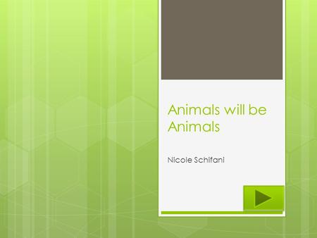 Animals will be Animals Nicole Schifani. Content Area: Science Grade Level : 2nd Summary: The purpose of this PowerPoint is to show animals eat plants.