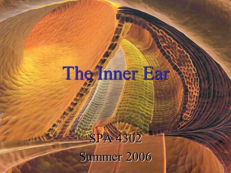 The Inner Ear SPA 4302 Summer 2006. Two Halves: ____________--transduces motion and pull of gravity ____________-transduces sound energy (Both use Hair.