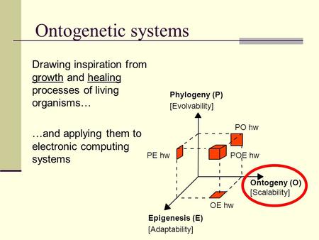 Ontogenetic systems Drawing inspiration from growth and healing processes of living organisms… …and applying them to electronic computing systems Phylogeny.