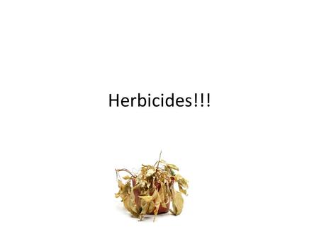 Herbicides!!!. General Safety Rules Use only approved pesticides Read the label before application Use the pesticide with the lowest toxicity Use only.