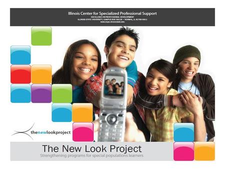 FY13 New Look Informational Webinar August 23, 2012 1-2pm Lynn Reha Director, Illinois Center for Specialized Professional Support This presentation was.
