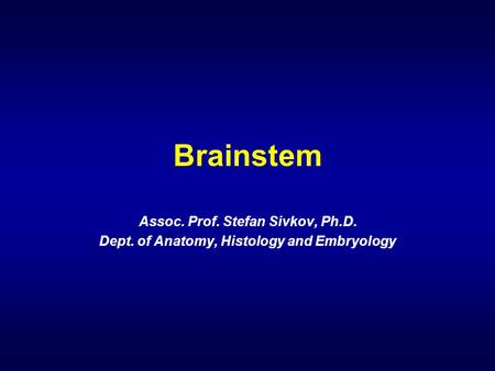 Brainstem Assoc. Prof. Stefan Sivkov, Ph.D.