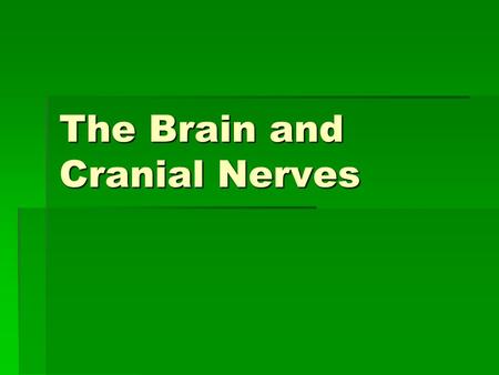 The Brain and Cranial Nerves. Major Parts of the Brain 1.Brain stem – continuous with spinal cord  Midbrain  Pons  Medulla Oblongota.