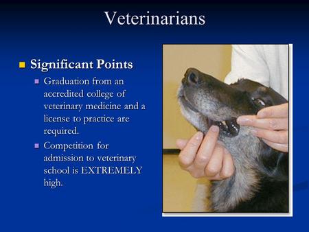 Veterinarians Significant Points