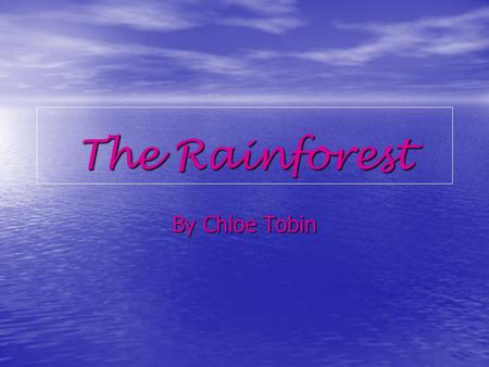The Rainforest By Chloe Tobin.