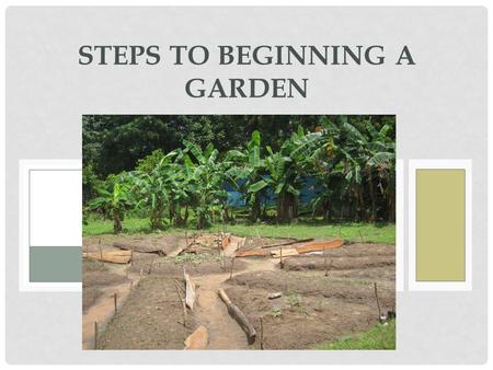 STEPS TO BEGINNING A GARDEN. GET AN IDEA Is it going to be a vegetable garden? An herb garden? A flower garden? Or a mix? How much space do you have?