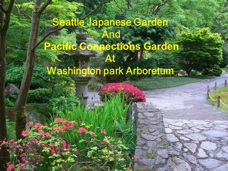 Seattle Japanese Garden Pacific Connections Garden
