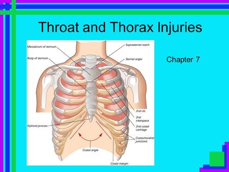 Throat and Thorax Injuries