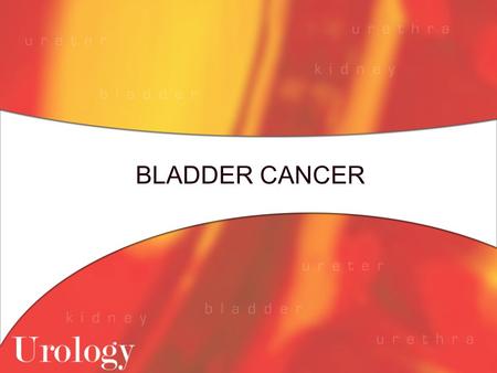 BLADDER CANCER. Incidence Fourth most common cancer in men Ninth most common cancer in women Sustained decline in incidence over recent times 60 % reduction.