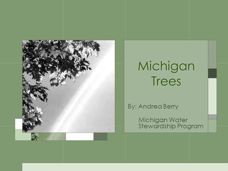 Michigan Trees By: Andrea Berry Michigan Water Stewardship Program.