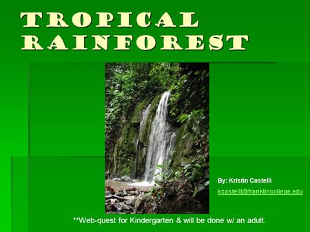 Tropical Rainforest **Web-quest for Kindergarten & will be done w/ an adult. By: Kristin Castelli