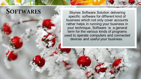 S OFTWARES Skynes Software Solution delivering specific software for different kind of business which not only cover accounts rather helps in running your.