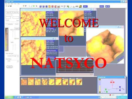 NATSYCO. microscopy Optical microscopy Electron microscopy Scanning probe microscope.