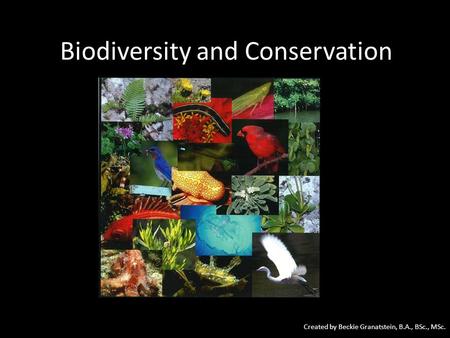 Biodiversity and Conservation Created by Beckie Granatstein, B.A., BSc., MSc.