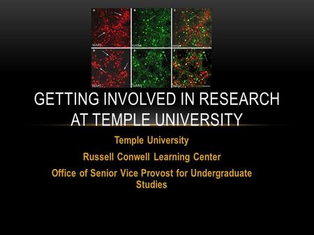 Temple University Russell Conwell Learning Center Office of Senior Vice Provost for Undergraduate Studies GETTING INVOLVED IN RESEARCH AT TEMPLE UNIVERSITY.