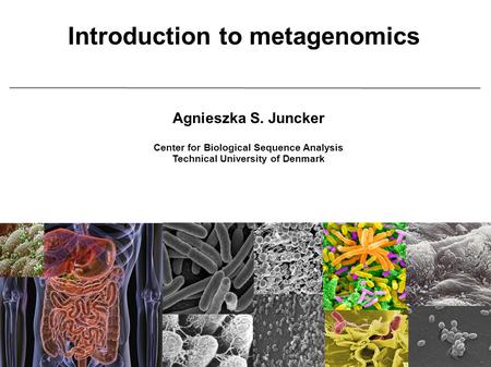 Introduction to metagenomics Agnieszka S. Juncker Center for Biological Sequence Analysis Technical University of Denmark.