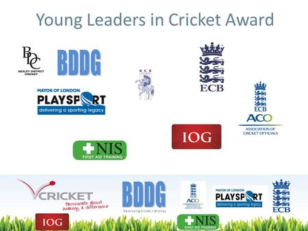 Developing Cricket in Bromley Young Leaders in Cricket Award.