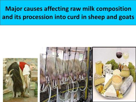 Major causes affecting raw milk composition and its procession into curd in sheep and goats.